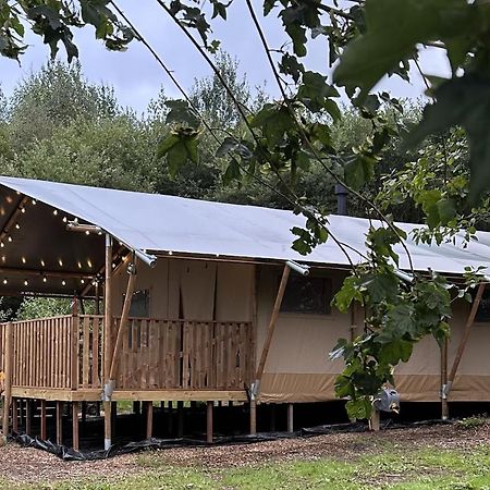 Cherry Tree Safari Lodge Talaton Zewnętrze zdjęcie