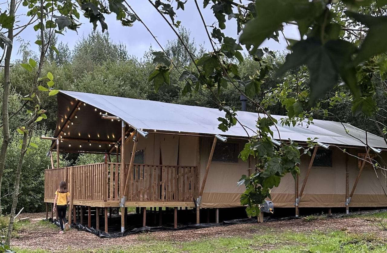 Cherry Tree Safari Lodge Talaton Zewnętrze zdjęcie